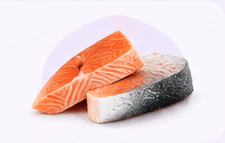 Peixes representando proteínas selecionadas