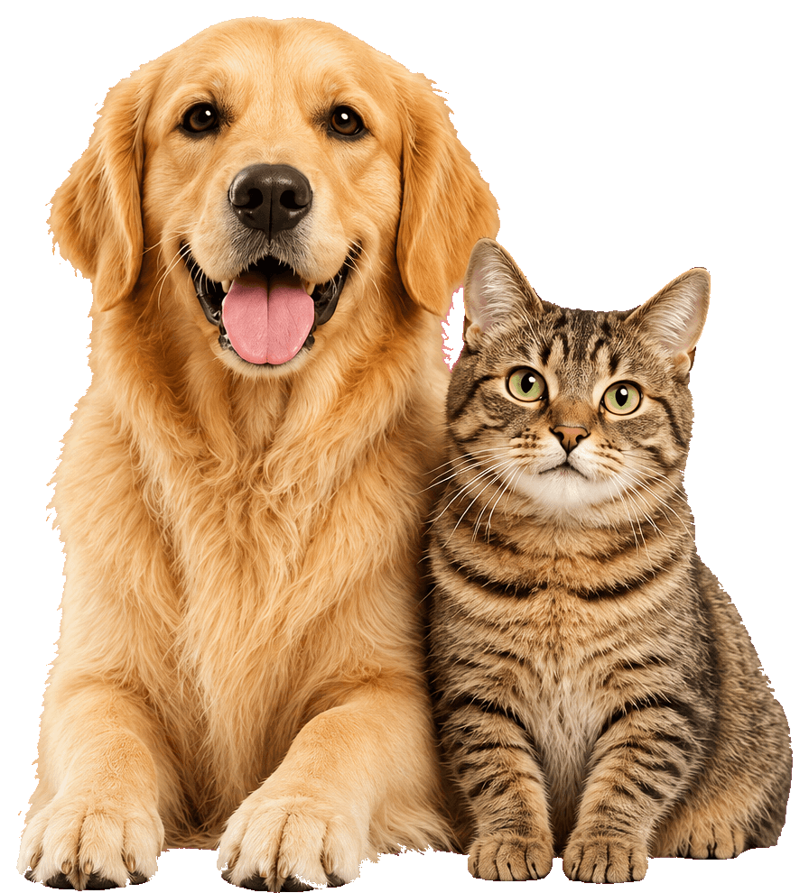 Cachorro e gato representando o Nutzen Club
